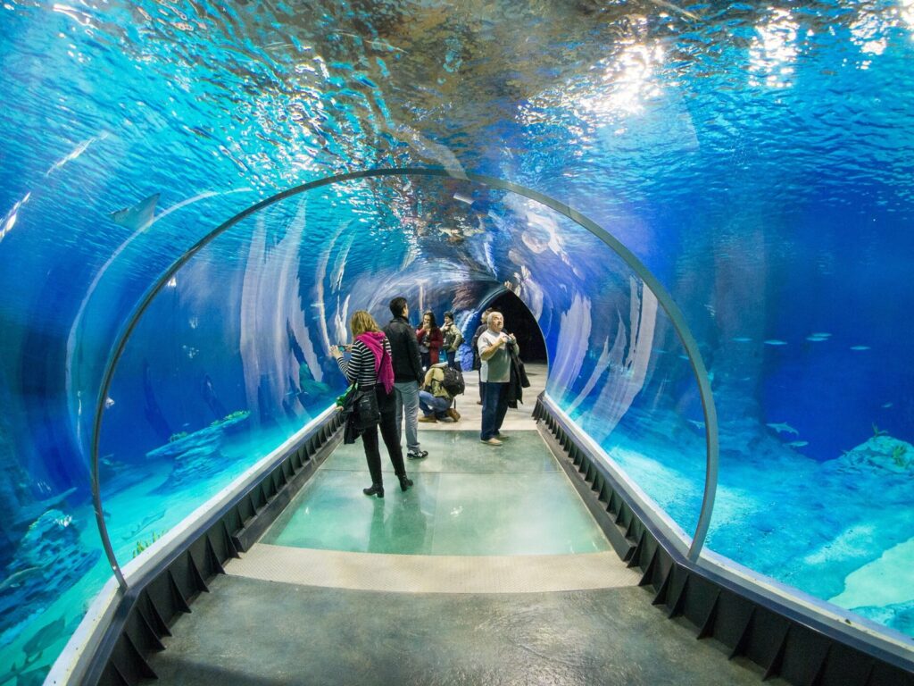 Afrykarium we Wrocławiu: oceanarium w zoo