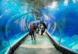 Afrykarium we Wrocławiu: oceanarium w zoo